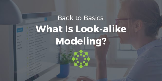 What Is Look-alike Modeling?