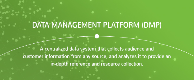 Data Mangement Platform (DMP)