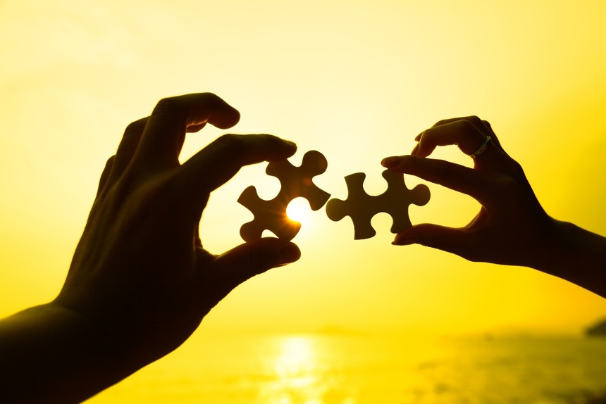 Two Hands And a Puzzle Piece