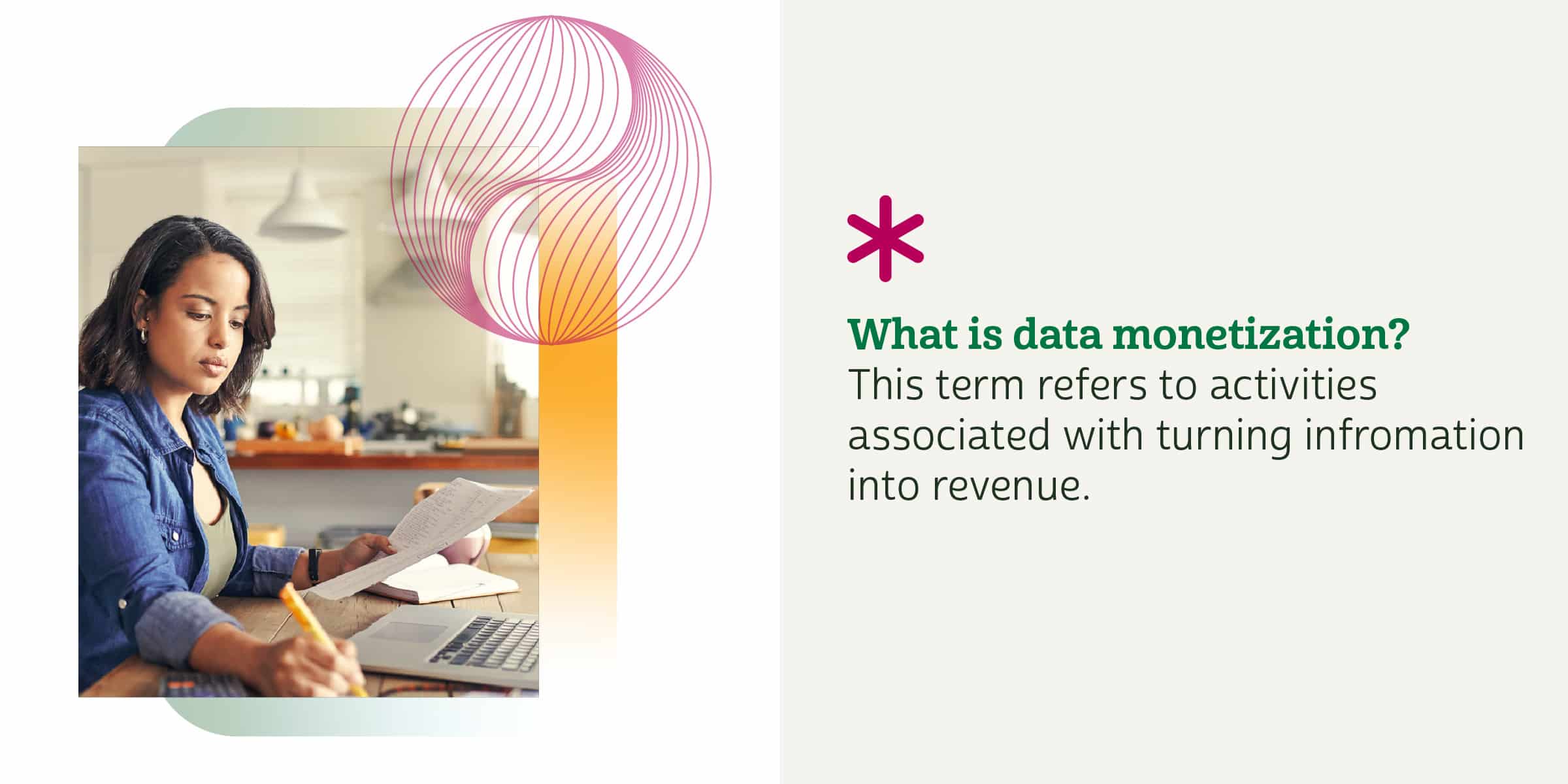 what is data monetization - section title