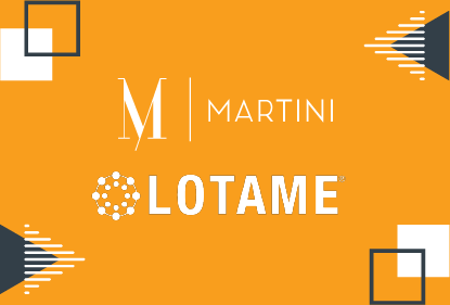 Audience Analytics Lotame Case Study
