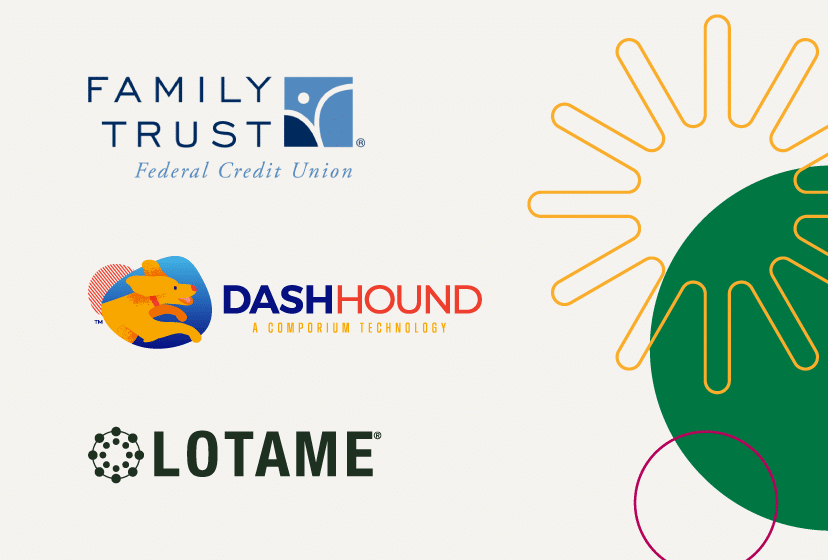 Case Study Data Analytics dashhound and lotame