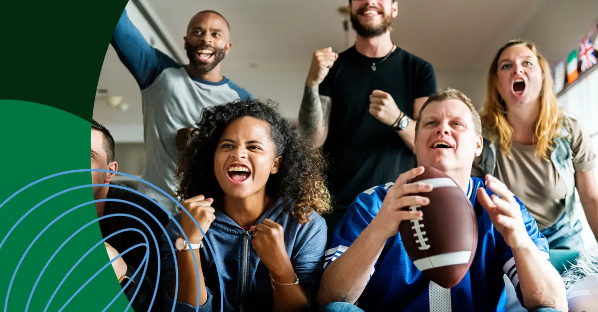NFL fan demographics